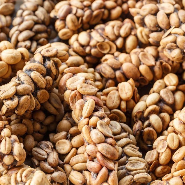

Ready biji kopi luwak liar asli