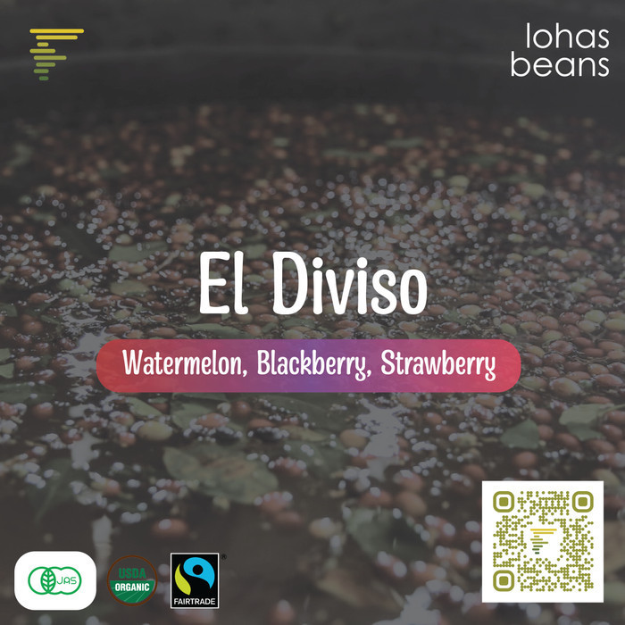 

Ready Biji Kopi Arabica Colombia EL DIVISO Sidra Bourbon Nat Anrb100Hr 200Gr