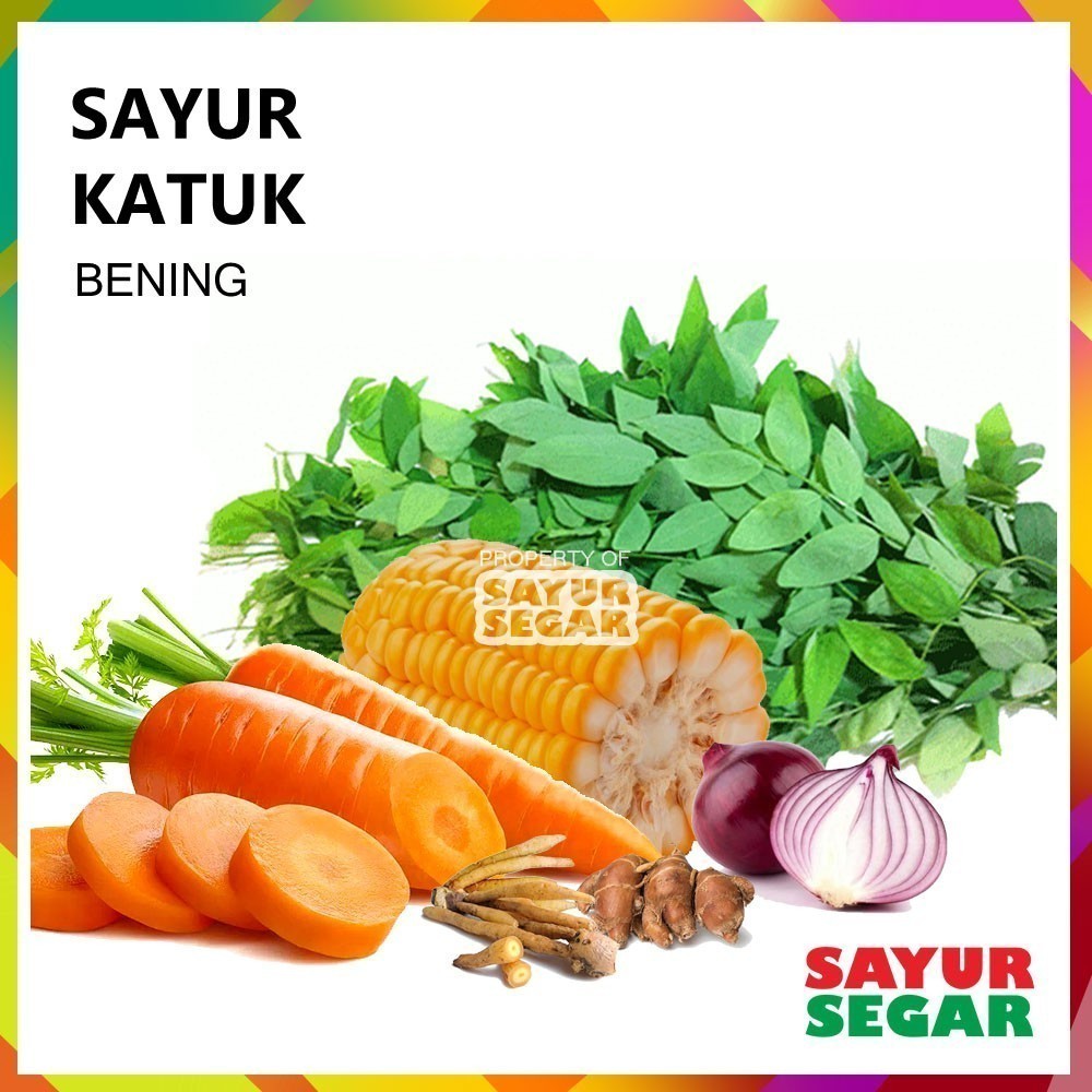 

Paket Sayur Bening Katuk 1 Pack Siap Masak