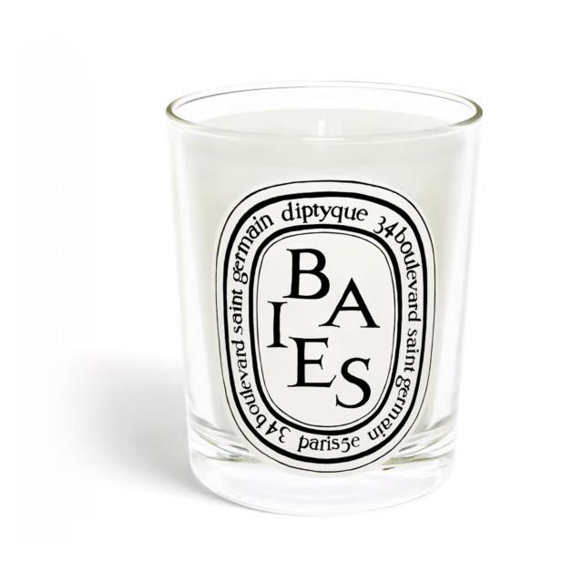 Diptyque Paris Candle FEU DE BOIS Baies ___Oasis