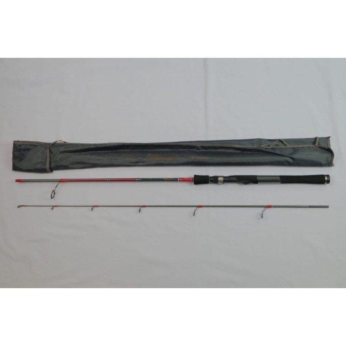 Ready Joran Penn Battle stick 602MH