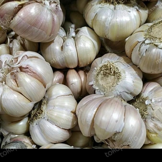 

tab Bawang putih banci/Honan 1kg