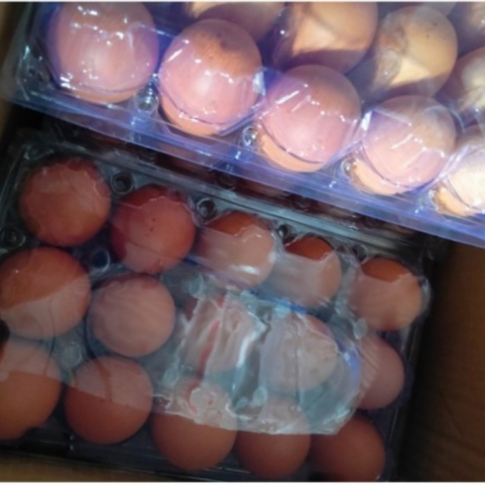 Egg Tray Isi 15 Butir Dengan Pengunci Mika Telur Ayam Isi 50 Pcs Tutup