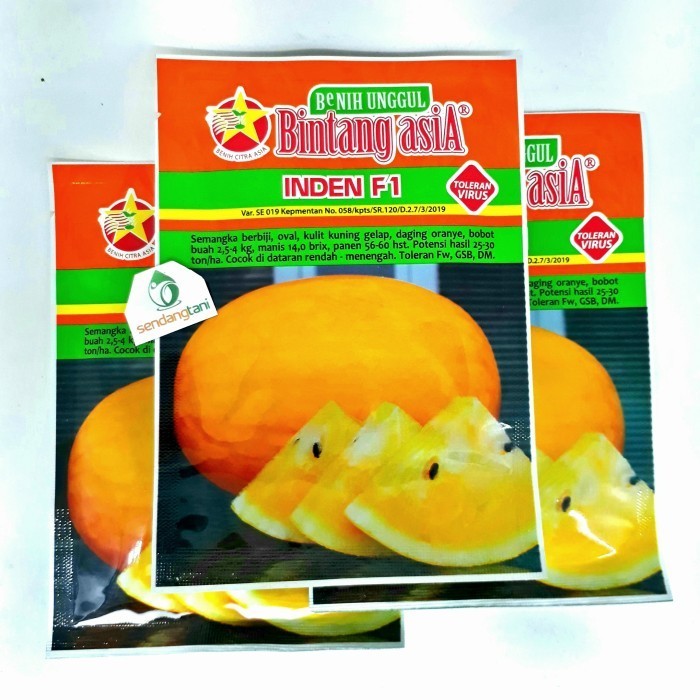 Inden F1 Benih Bibit Semangka Madu Kuning Bintang Asia