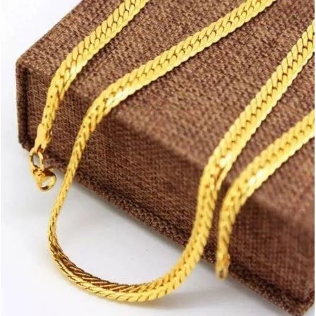 Kalung Pria Wanita Titanium Rantai Sisik Naga Emas Gold Pipitray