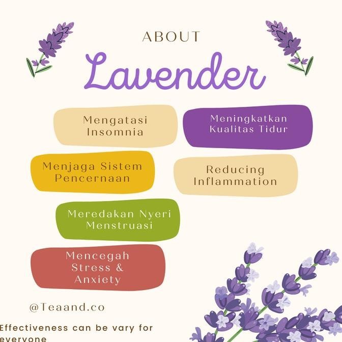 

Teh Lavender/ Bunga Lavender Kering/Dried Lavender Tea Organic [30 gr] AS01