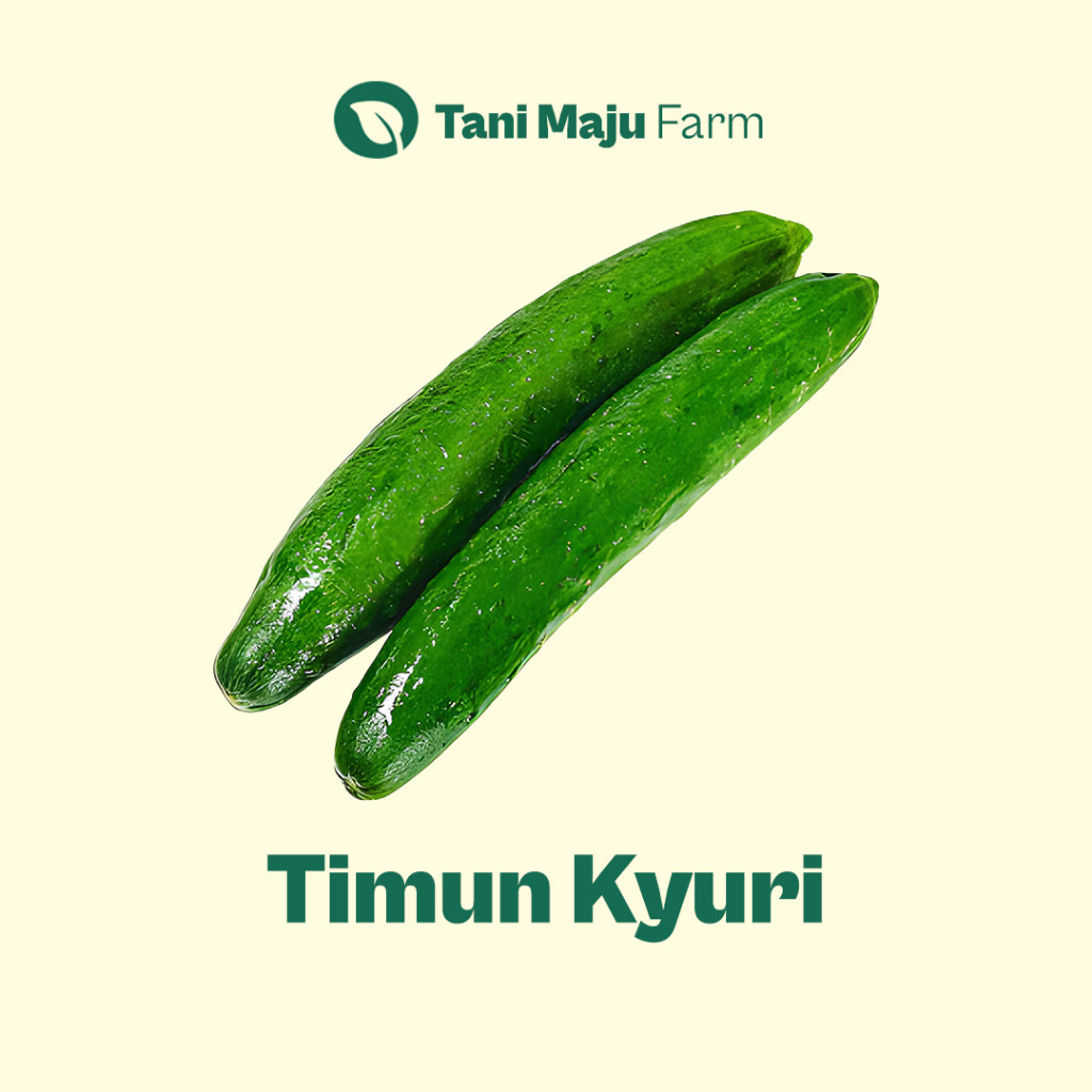 

TANI MAJU - Timun Kyuri Timun Jepang Japanese Kyuri Cucumber Fresh Organik (1 pcs) - Sayuran