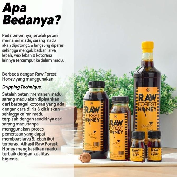 

House Of Organix Raw Forest Honey 500 Ml Revi Staroutlet