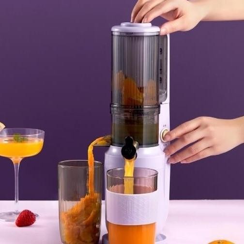 [New] Daewoo Household Electric Slow Juicer