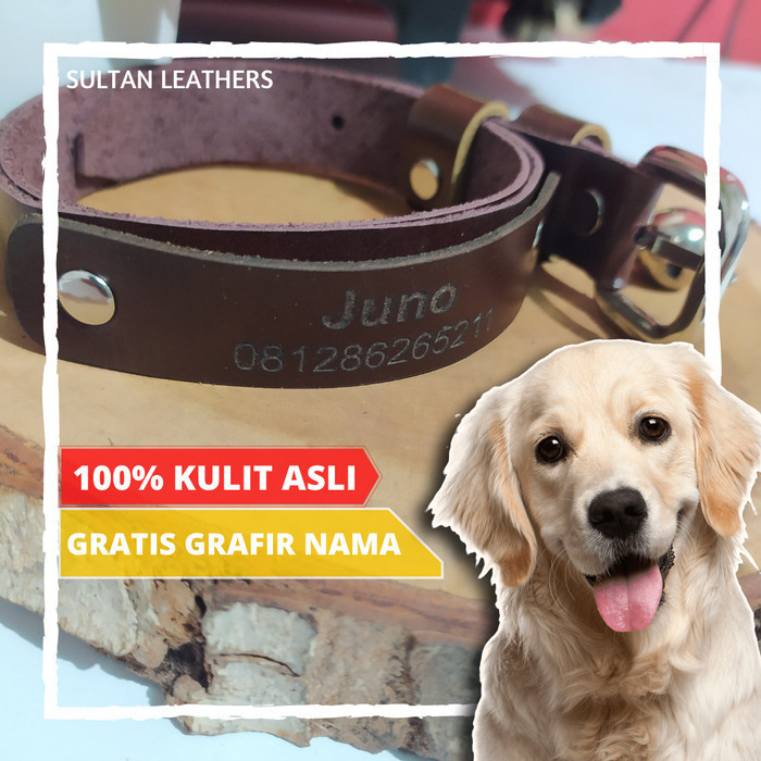 Kalung Anjing Kulit Asli Bonus Lonceng & Nama (Kalung Besar / Kecil)