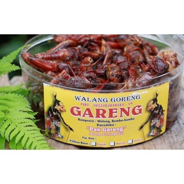 belalang goreng / walang goreng khas jogja/ asli gunung kidul wonosari MS54