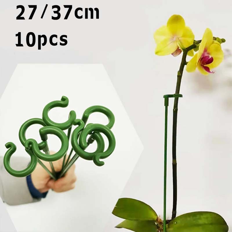 10 Pcs Penyangga Anggrek Plant Stake Pvc Penyangga Tanaman Rambat Penyangga Bunga Anggrek