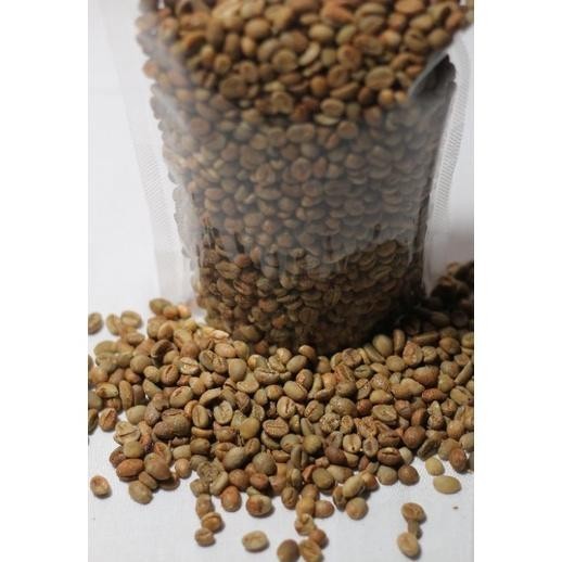 

dgf-4 Ready Greenbean Robusta Batang sortir bersih Berat 1 Kg Berkualitas