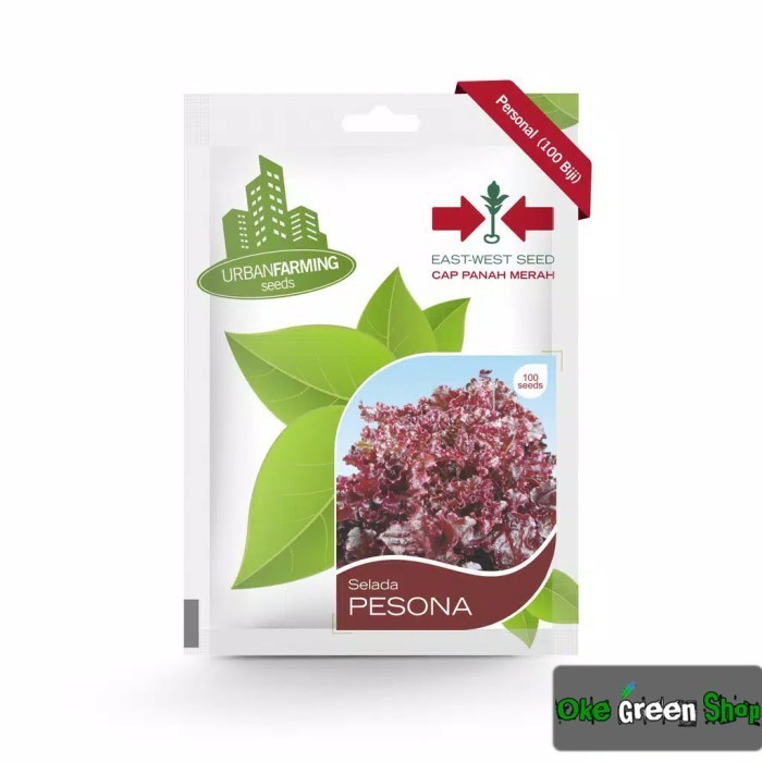 SALE BENIH BIBIT SELADA KERITING MERAH PESONA CAP PANAH MERAH