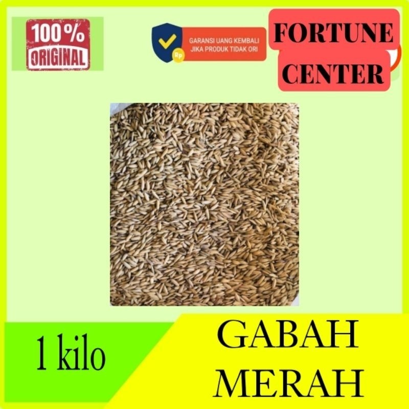 GABAH PADI / BERAS MERAH GABAH AYAM BERAS AYAM MAKANAN AYAM SEMUA RAS AYAM BURUNG MERPATI