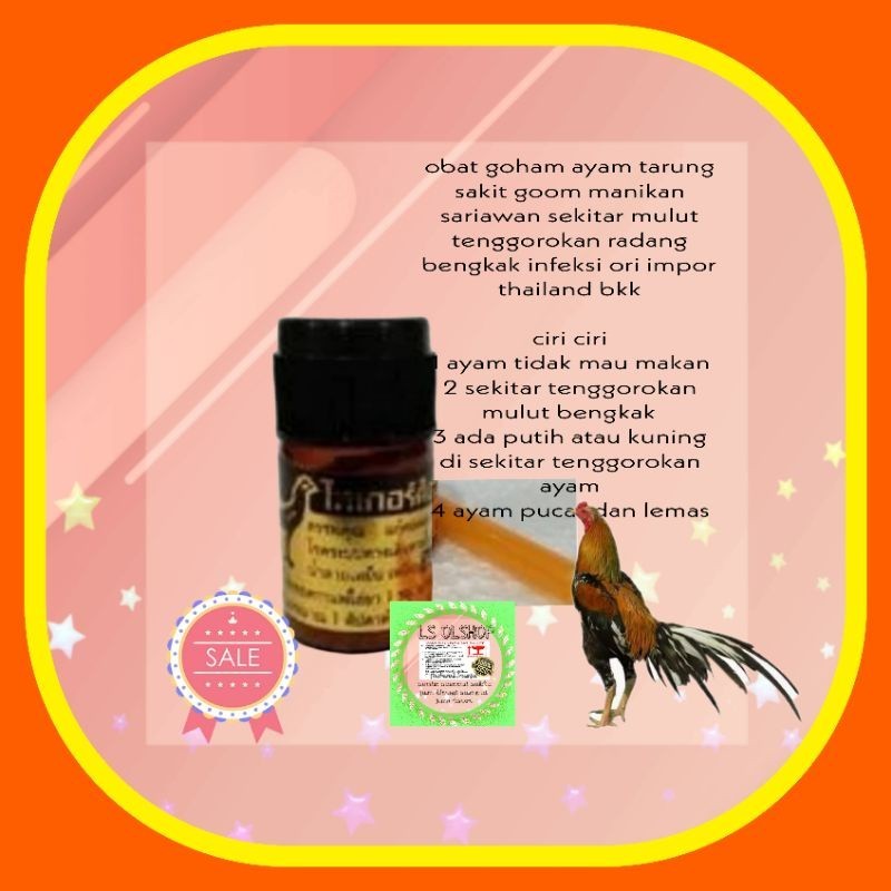 tiger cock ayam obat ayam goham manikan goom disekitar mulut dalam mulut putih2 impr thailand