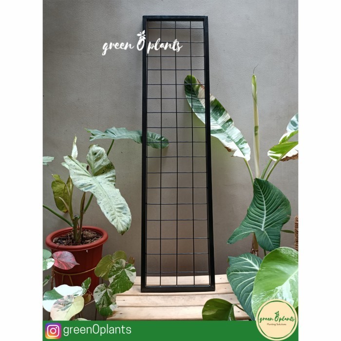 BERGARANSI Rak vertical garden 25cm x 100cm