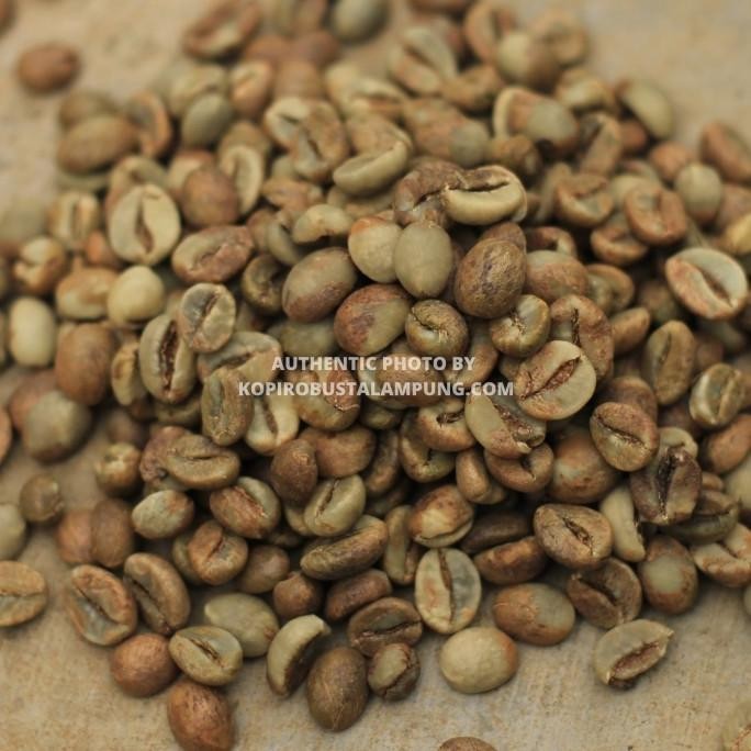 

Kopi Robusta Lampung Greenbean Petik Merah - Natural Process