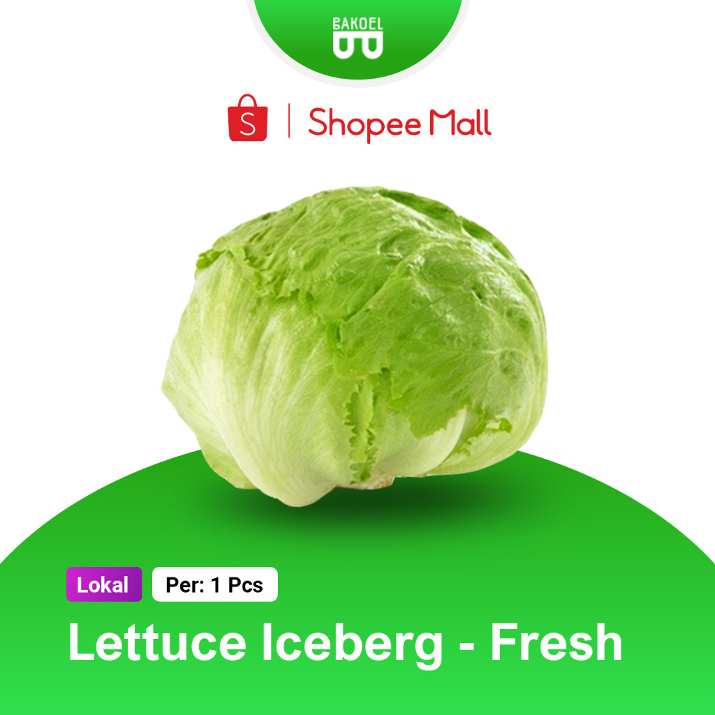 

Lettuce Iceberg (Harga Per Pcs)