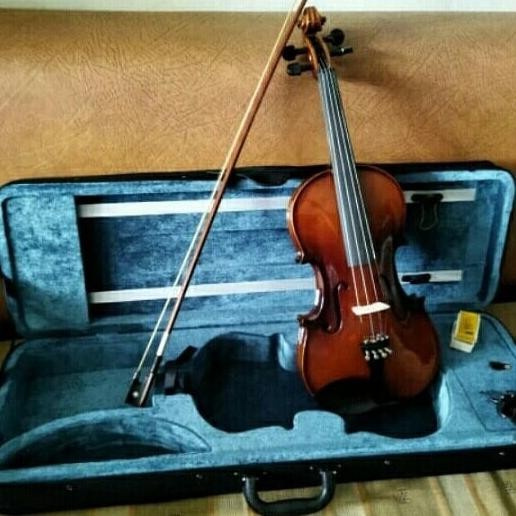 Biola Peganini Solid Wood Tertinggi Dikelasnya