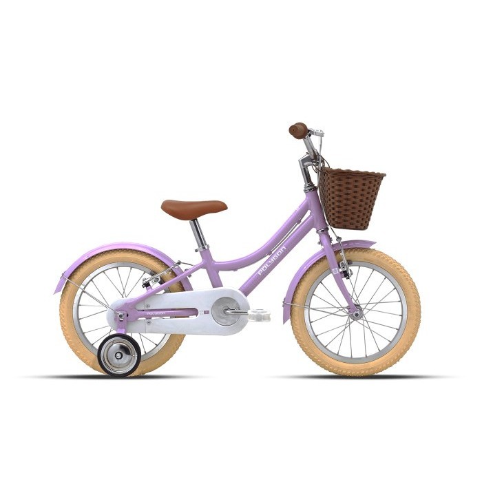 Sepeda Anak ni Keranjang Perempuan 16 Polygon Alice