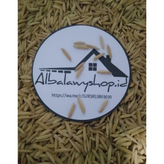 

Ready Benih Padi Basmati 1Kg (Basmati Rice/Beras Asli India & MS54