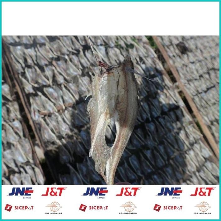 

BISMILLAH IKAN ASIN TIPIS TARAKAN 1KG TERMURAH ALISUP