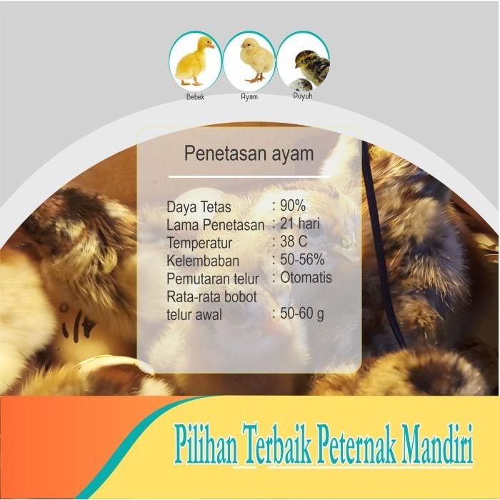 Mesin Tetas Telur Semi Otomatis Sam D9 At | Alat Penetas Ayam, Burung