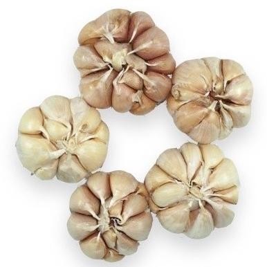 

Bawang Putih Organik 500Gr