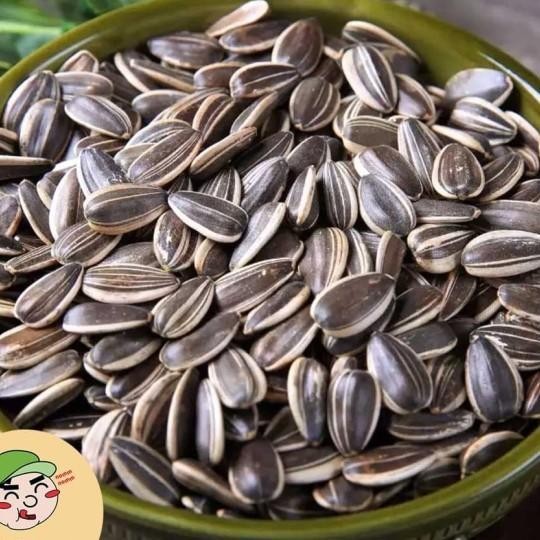 

1Kg Kuaci Matahari Rebo - Aci Bunga Matahari | Oui Sna