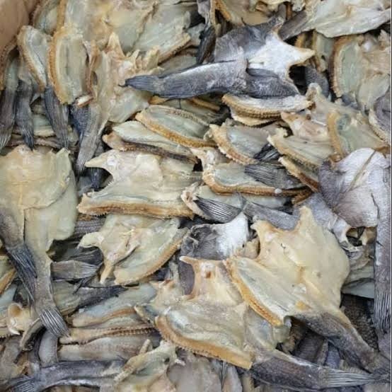 

ikan asin gabus besar dan kecil A9
