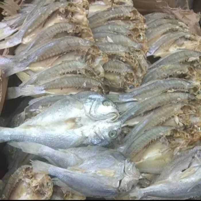 

Ikan Asin Kepala Batu Belah Fresh Khas Medan 500 gr A9