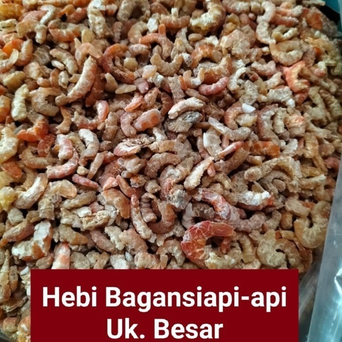 

Udang Kering Ebi Besar 500 Gram Bagan Siapi-api Tanpa Pewarna A9