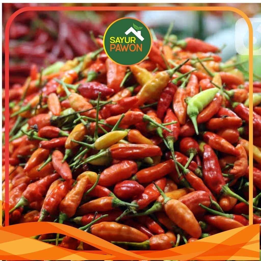 

Cabe Rawit Merah per Kilogram