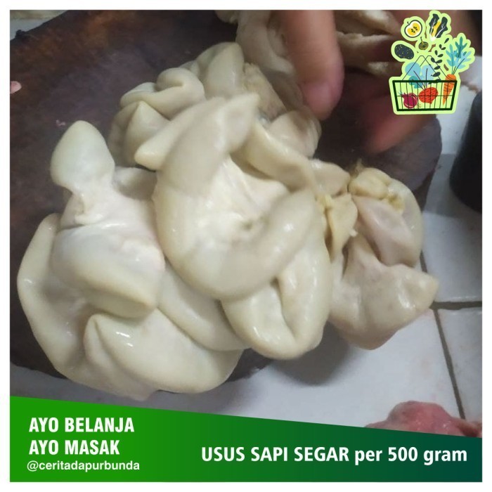 

USUS SAPI SEGAR per 500 gram