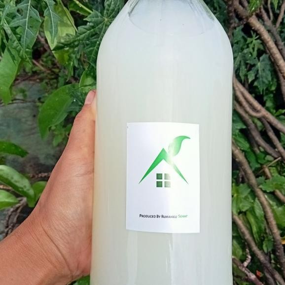 

Cuka Air Kelapa Raw Dgn Inangnya, 1 Liter Botol Kaca Khusus Sameday
