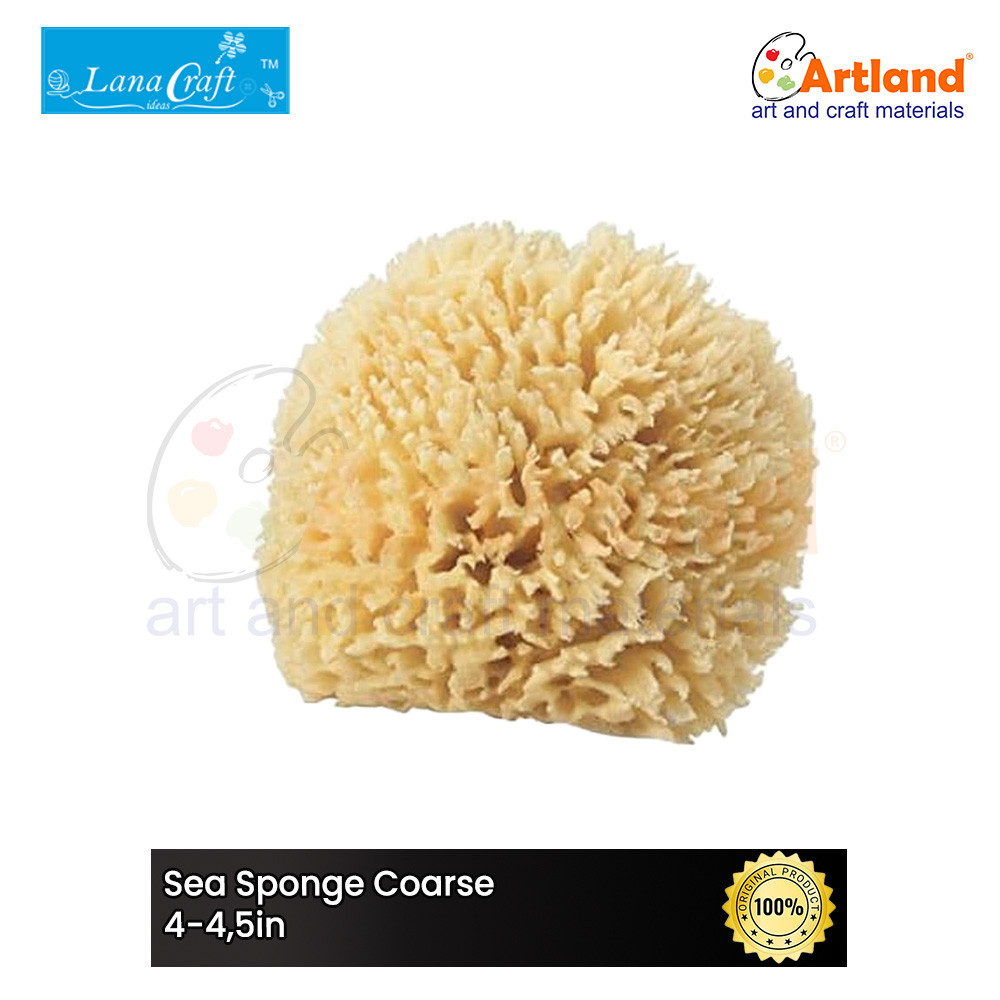 

Sea Sponge Coarse 4-4,5in - Spons Laut Kasar 4-4,5in C445