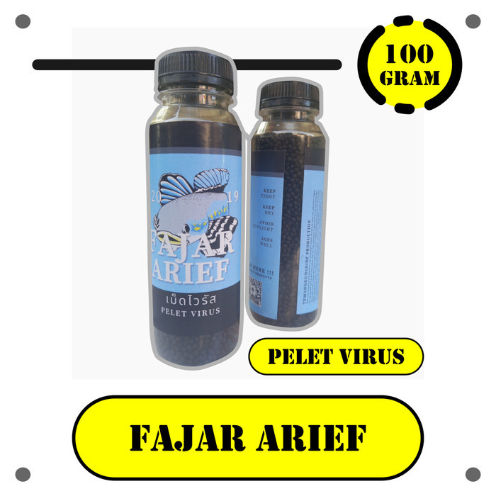 Pelet Jahat Virus Udang Jahat Fajar Arief Pelet Progres Ikan Channa