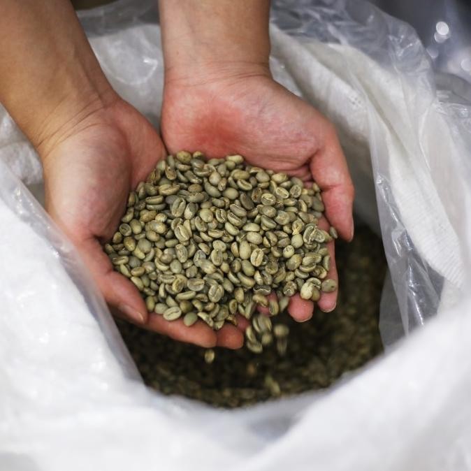 

Biji Kopi 100% Full Robusta Medium Roast 1Kg - Mardika Coffee