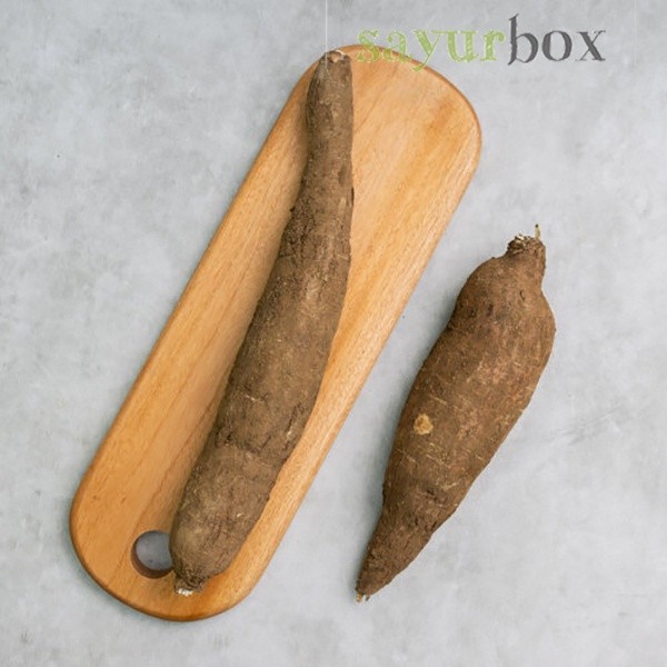 

Singkong Mentega Konvensional 1 kg Sayurbox