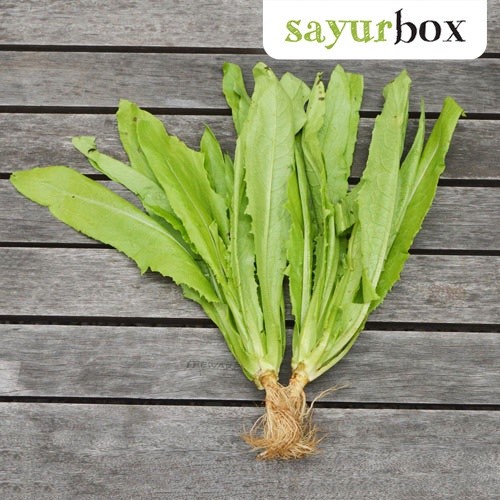 

Siomak Konvensional 1 kg Sayurbox