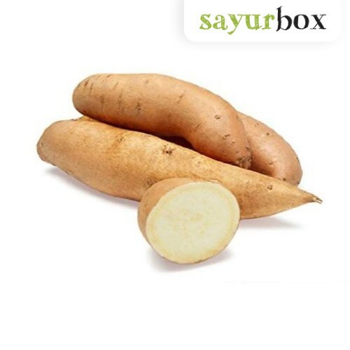 

Ubi Putih Konvensional 500 gram Sayurbox