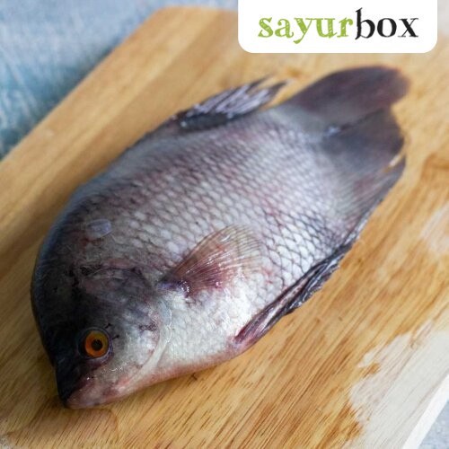 

Banda Ikan Gurame 500 gram Sayurbox