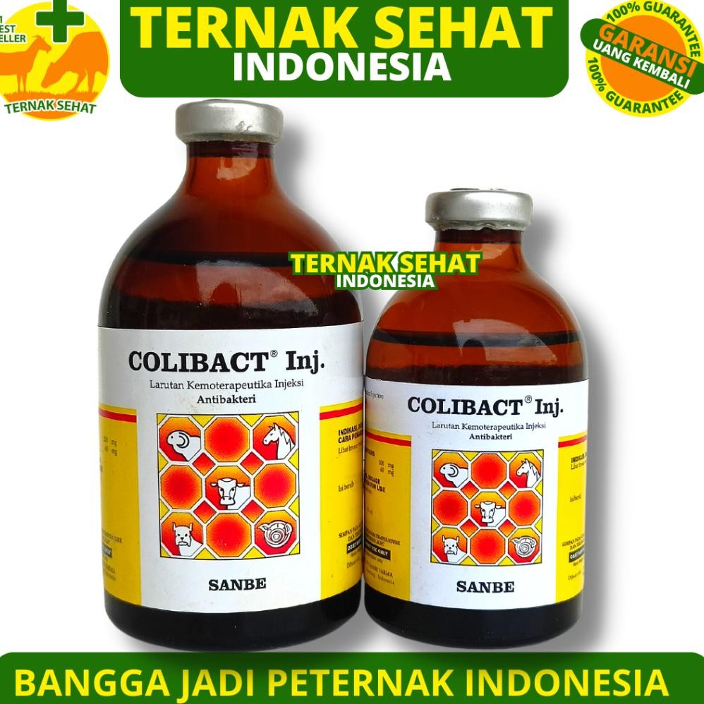 Berkualitas Colibact Injeksi 50Ml Colibact Inj 100Ml - Obat Mencret Sapi - Obat Diare Sapi Kambing D