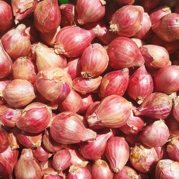 

bawang merah sedang 1kg