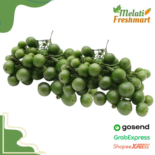 

Lenca Leunca Ranti 250 gram - Melati Freshmart