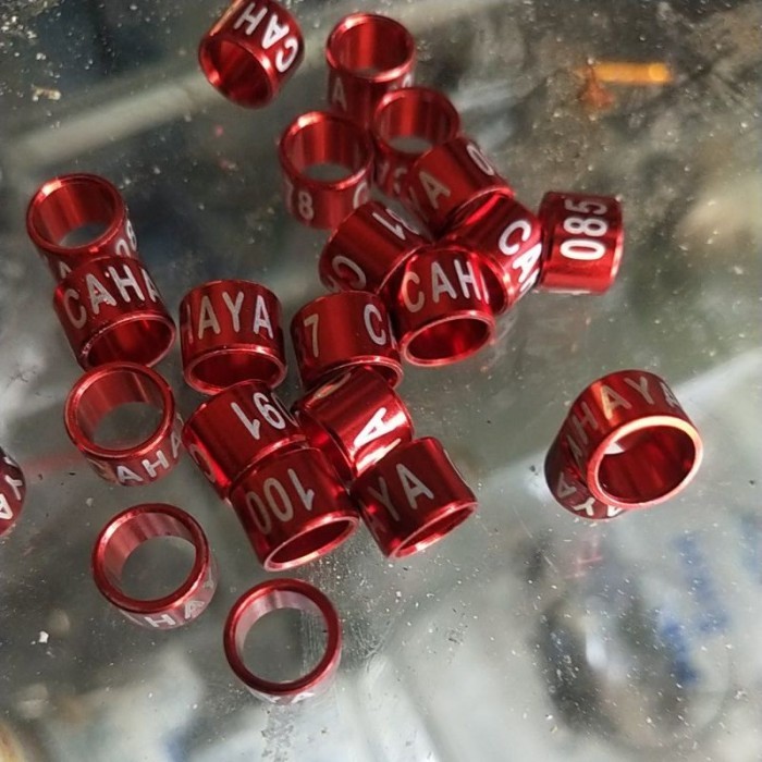 Terlaris RING CINCING GELANG KAKI PUTER BURUNG DARA BURUNG DERKUKU RING CINCIN SALE