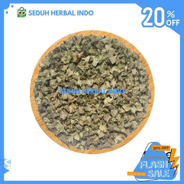 

DRIED PURE TRIBULUS TERRESTRIS / HERBAL TRIBULUS KERING DIJAMIN GRATIS