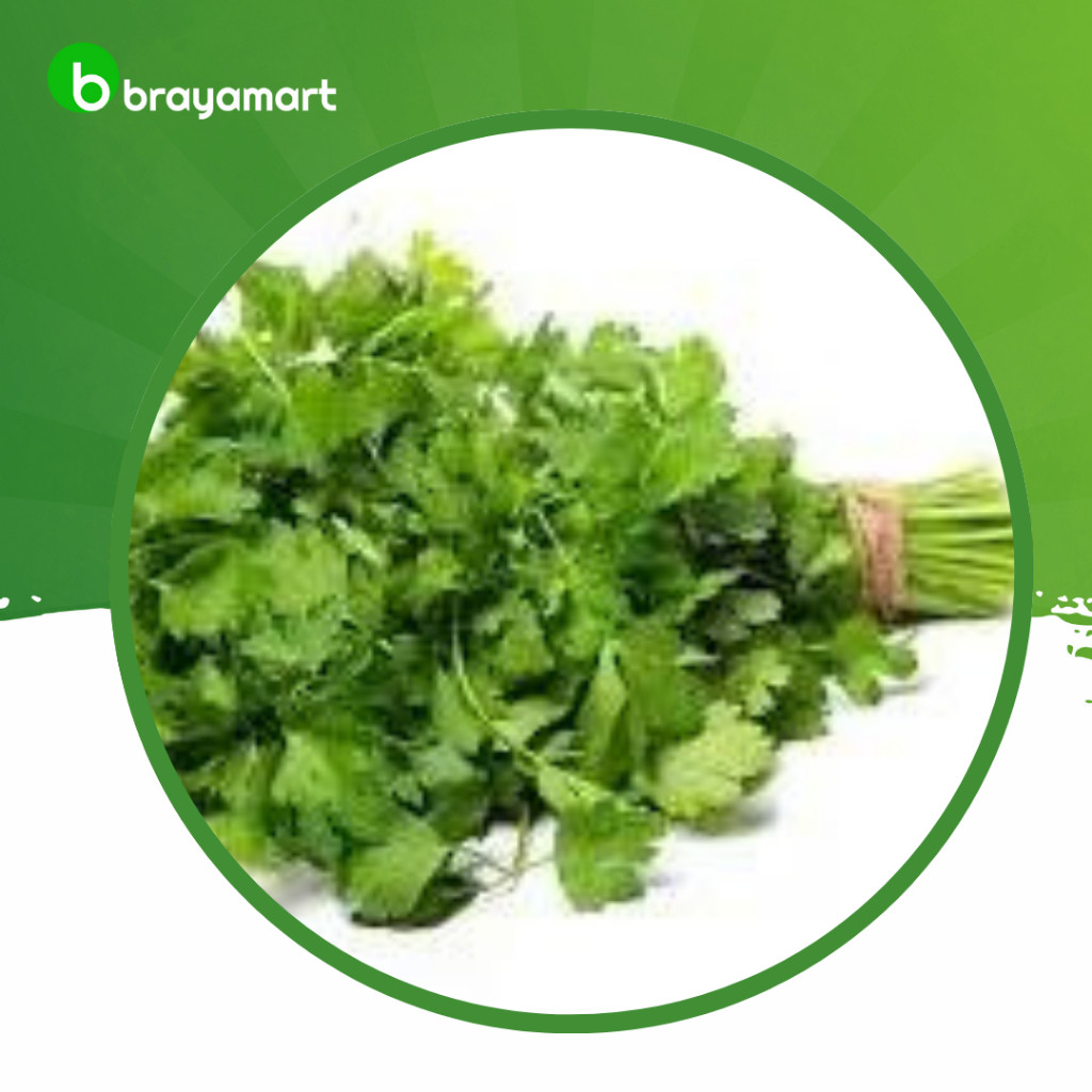 

Daun Seledri 100gr Brayamart