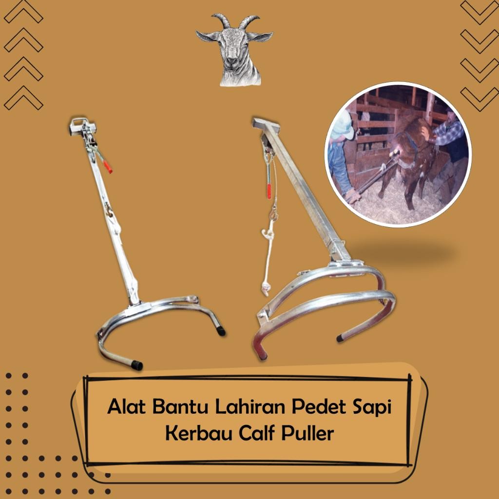 Alat Bantu Lahiran Pedet Sapi Kerbau Calf Puller Farm